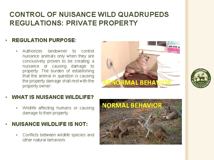 CONTROL OF NUISANCE WILD QUADRUPEDS REGULATIONS: PRIVATE PROPERTY • REGULATION PURPOSE: • Authorizes landowner