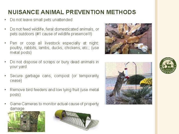 NUISANCE ANIMAL PREVENTION METHODS • Do not leave small pets unattended • Do not