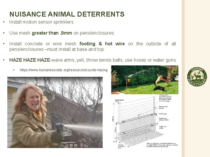 NUISANCE ANIMAL DETERRENTS • Install motion sensor sprinklers • Use mesh greater than. 9