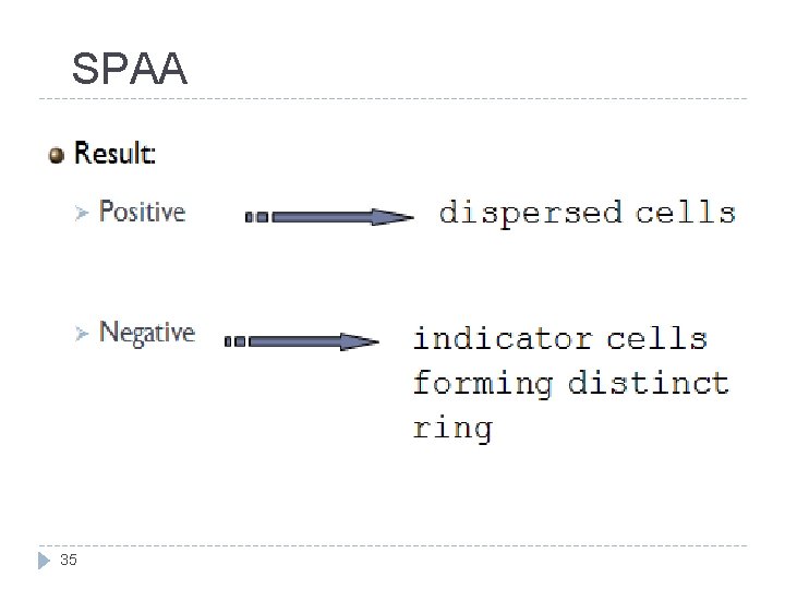  SPAA 35 