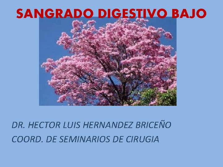 SANGRADO DIGESTIVO BAJO DR. HECTOR LUIS HERNANDEZ BRICEÑO COORD. DE SEMINARIOS DE CIRUGIA 