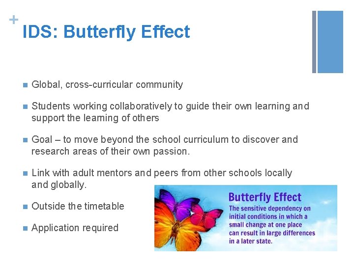 + IDS: Butterfly Effect n Global, cross-curricular community n Students working collaboratively to guide