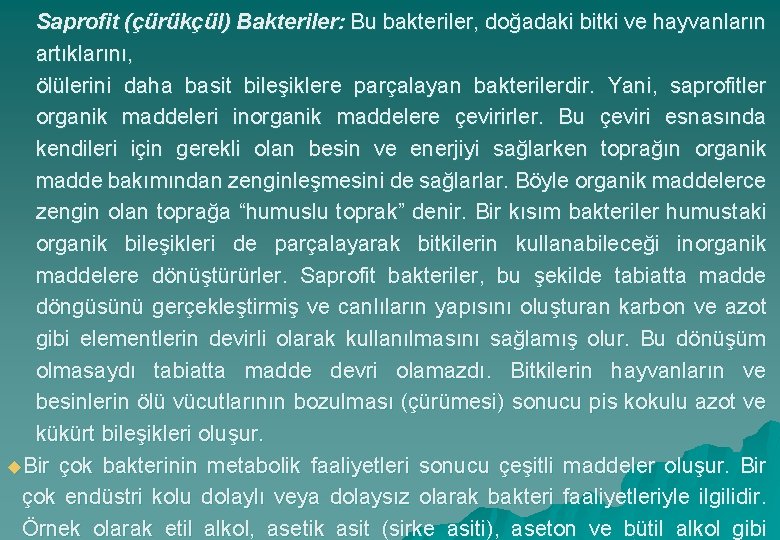 Saprofit (çürükçül) Bakteriler: Bu bakteriler, doğadaki bitki ve hayvanların artıklarını, ölülerini daha basit bileşiklere