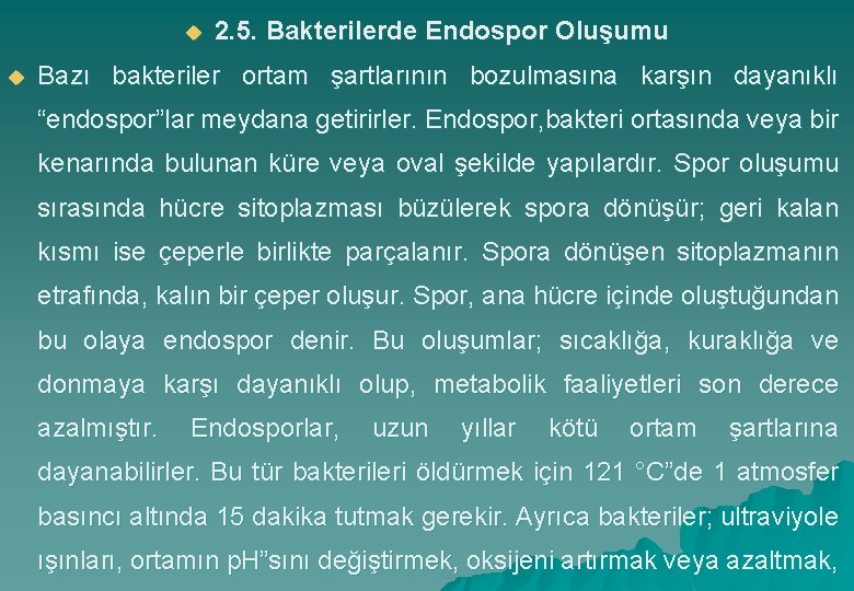 u u 2. 5. Bakterilerde Endospor Oluşumu Bazı bakteriler ortam şartlarının bozulmasına karşın dayanıklı