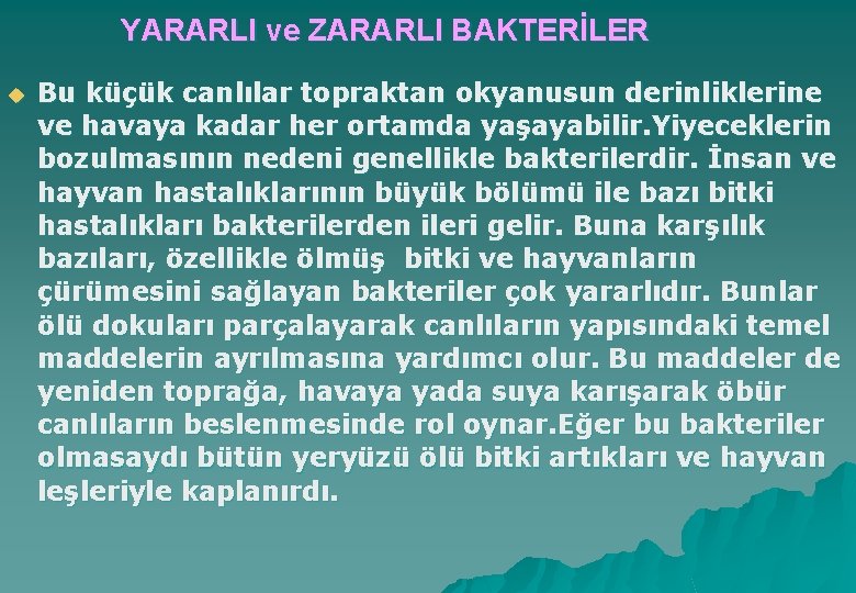 YARARLI ve ZARARLI BAKTERİLER u Bu küçük canlılar topraktan okyanusun derinliklerine ve havaya kadar