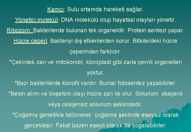 Kamçı: Sulu ortamda hareketi sağlar. Yönetici molekül: DNA molekülü olup hayatsal olayları yönetir. Ribozom: