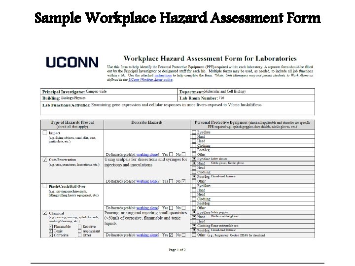 Sample Workplace Hazard Assessment Form Sample Workplace Hazard Assessment Form