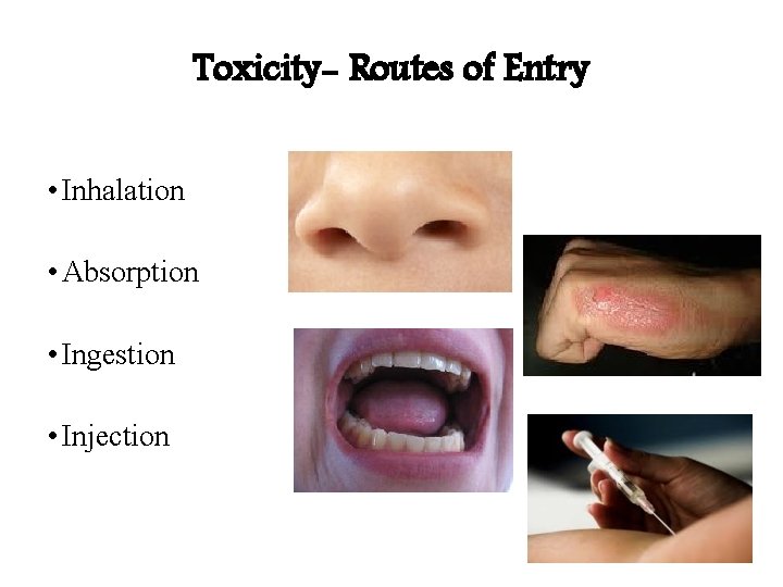 Toxicity- Routes of Entry • Inhalation • Absorption • Ingestion • Injection Toxicity- Routes of Entry • Inhalation • Absorption • Ingestion • Injection