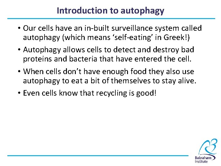 Autophagy visual data 5