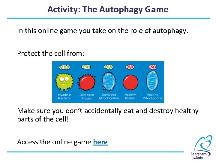 Activity: The Autophagy Game In this online game you take on the role of