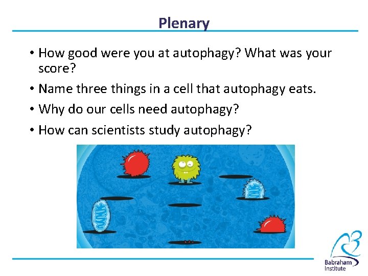 Plenary • How good were you at autophagy? What was your score? • Name