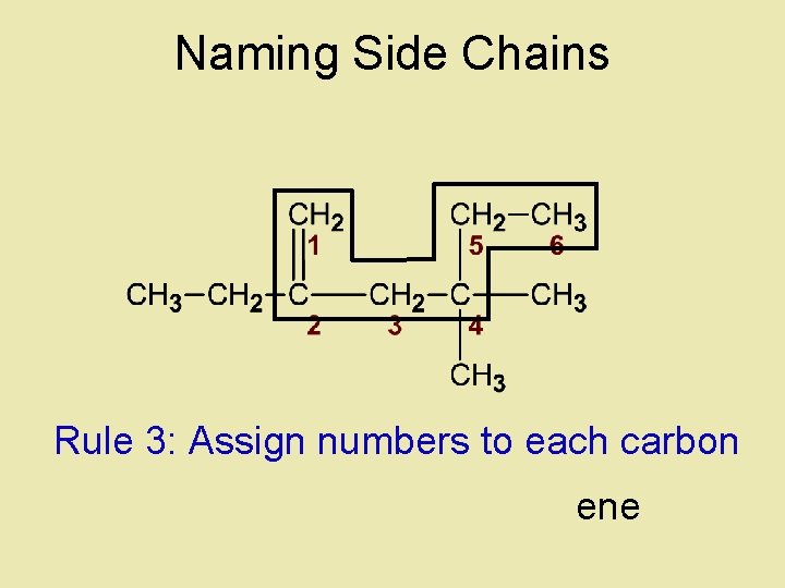 Naming Side Chains Rule 3: Assign numbers to each carbon ene 
