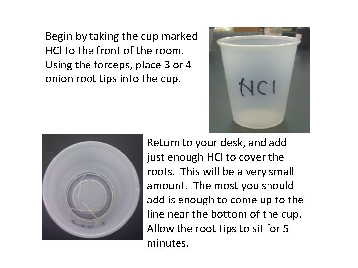 Begin by taking the cup marked HCl to the front of the room. Using