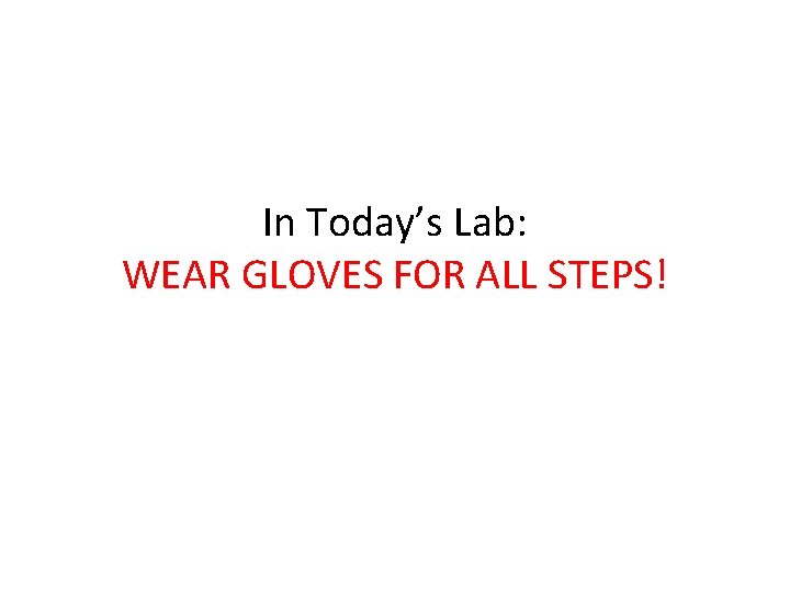 In Today’s Lab: WEAR GLOVES FOR ALL STEPS! 