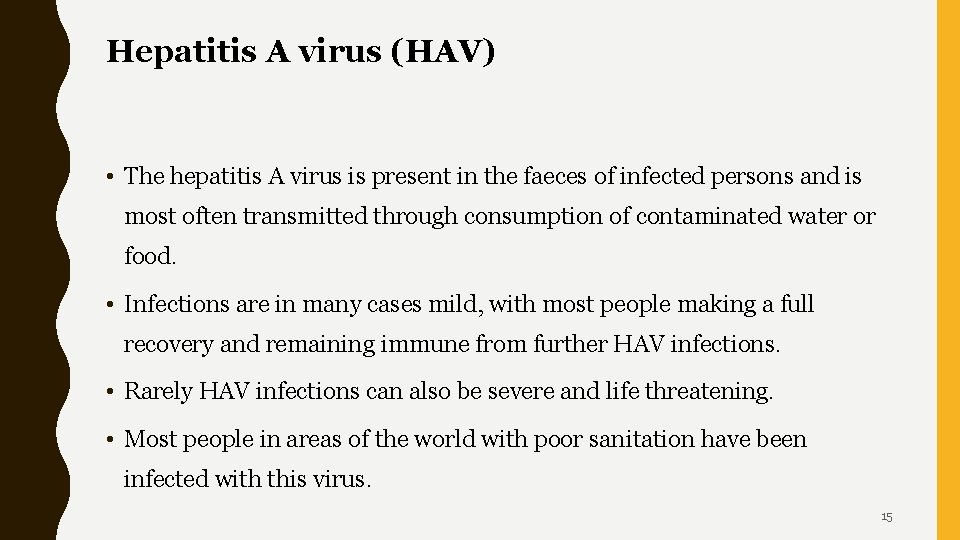 Hepatitis A virus (HAV) • The hepatitis A virus is present in the faeces