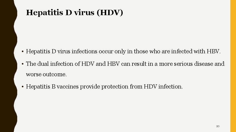 Hepatitis D virus (HDV) • Hepatitis D virus infections occur only in those who