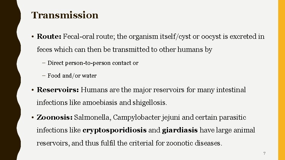 Transmission • Route: Fecal-oral route; the organism itself/cyst or oocyst is excreted in feces