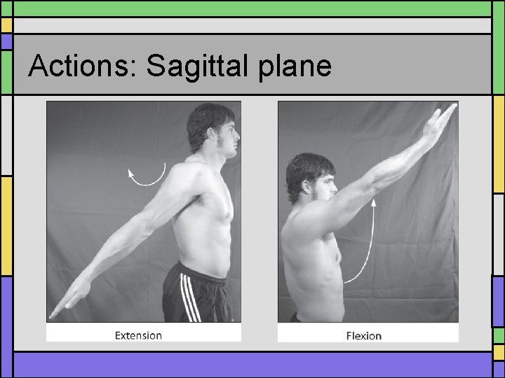 Actions: Sagittal plane 