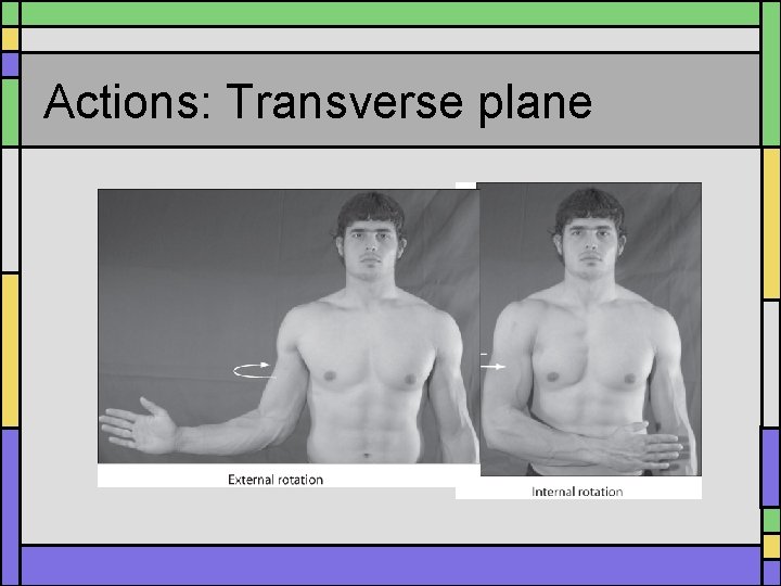 Actions: Transverse plane 