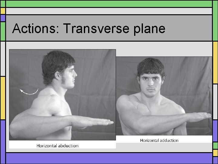 Actions: Transverse plane 