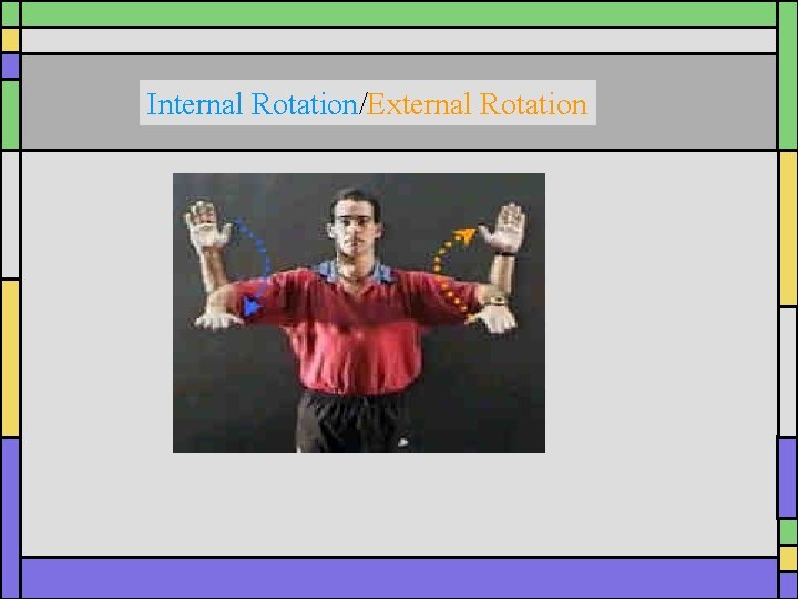 Internal Rotation/External Rotation 