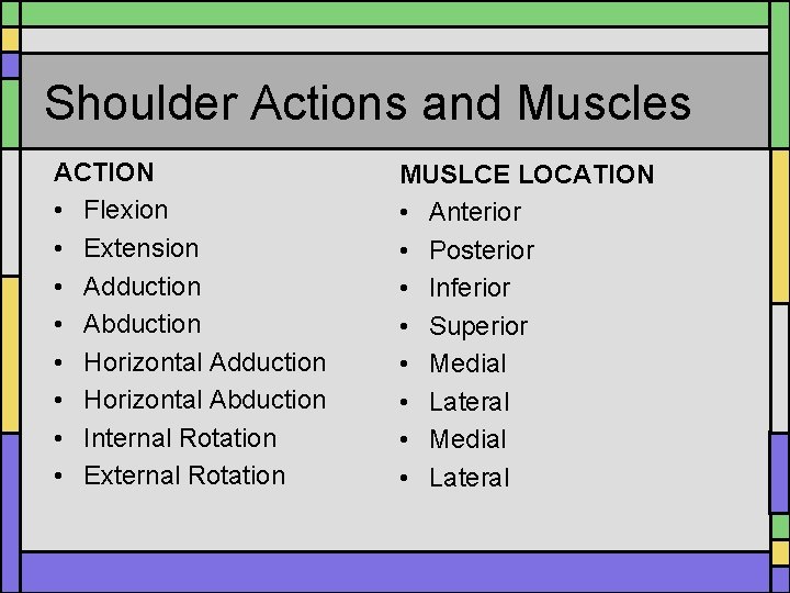 Shoulder Actions and Muscles ACTION • Flexion • Extension • Adduction • Abduction •