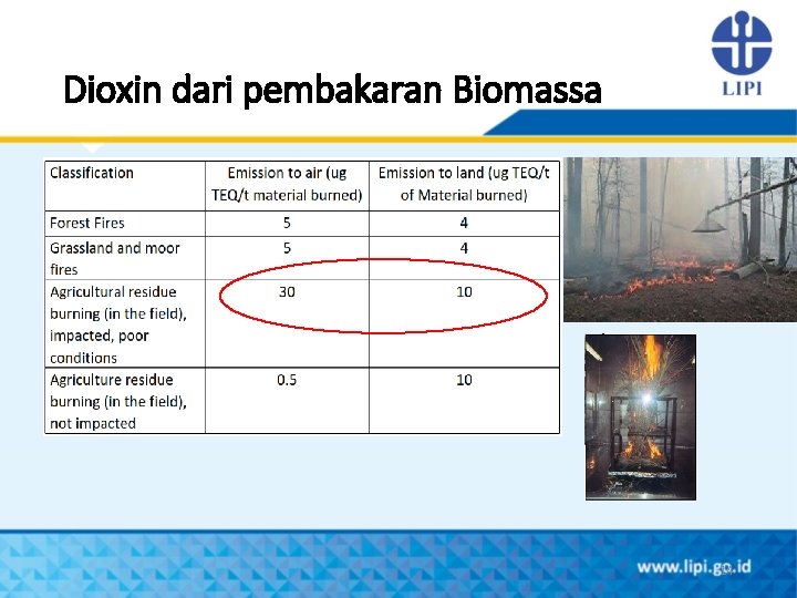 Dioxin dari pembakaran Biomassa 14 