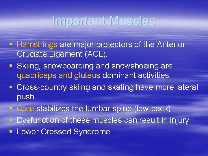 Important Muscles § Hamstrings are major protectors of the Anterior Cruciate Ligament (ACL). §