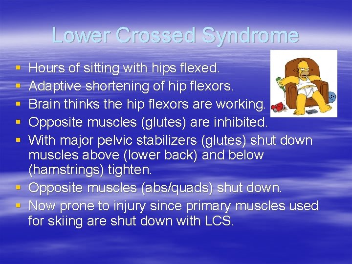 Lower Crossed Syndrome § § § Hours of sitting with hips flexed. Adaptive shortening