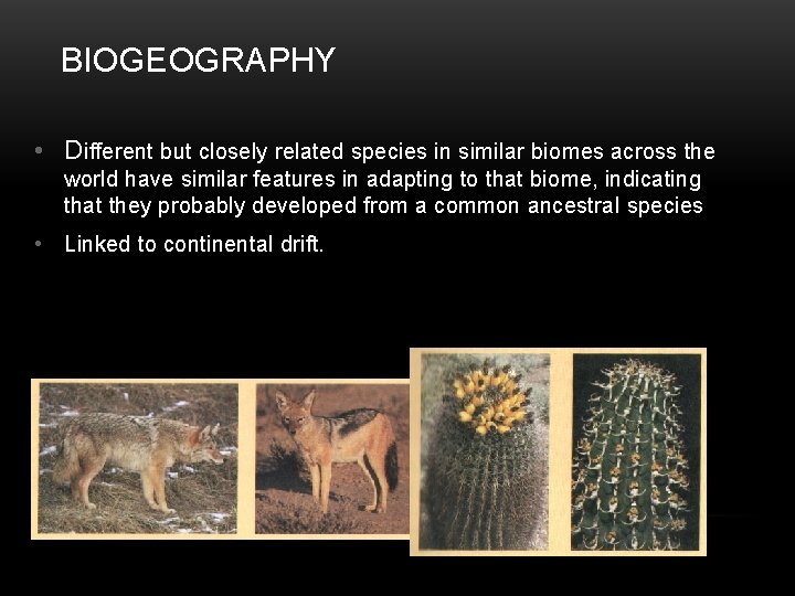 BIOGEOGRAPHY • Different but closely related species in similar biomes across the world have
