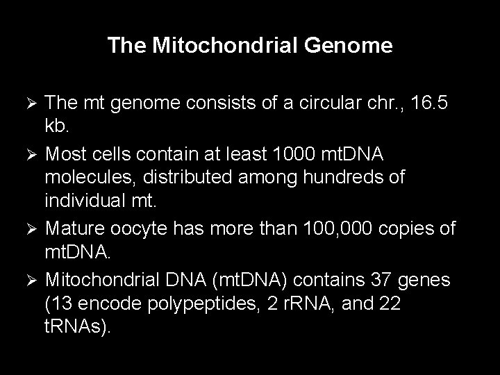 The Mitochondrial Genome The mt genome consists of a circular chr. , 16. 5