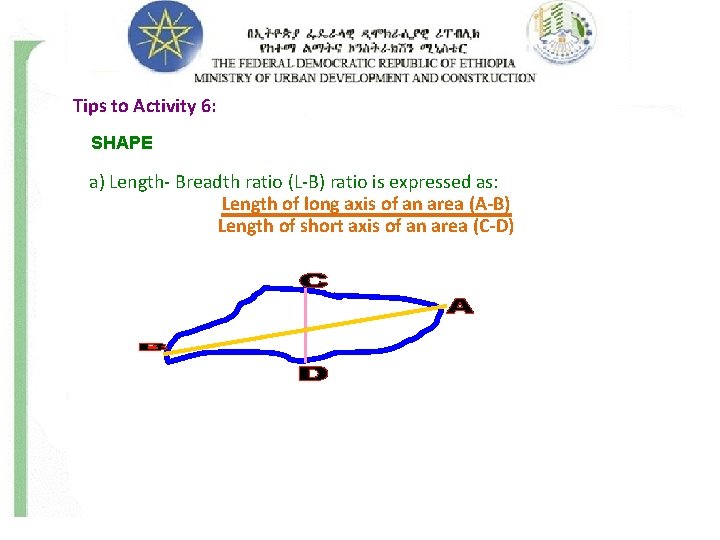 Tips to Activity 6: SHAPE a) Length- Breadth ratio (L-B) ratio is expressed as: