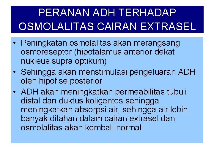 PERANAN ADH TERHADAP OSMOLALITAS CAIRAN EXTRASEL • Peningkatan osmolalitas akan merangsang osmoreseptor (hipotalamus anterior