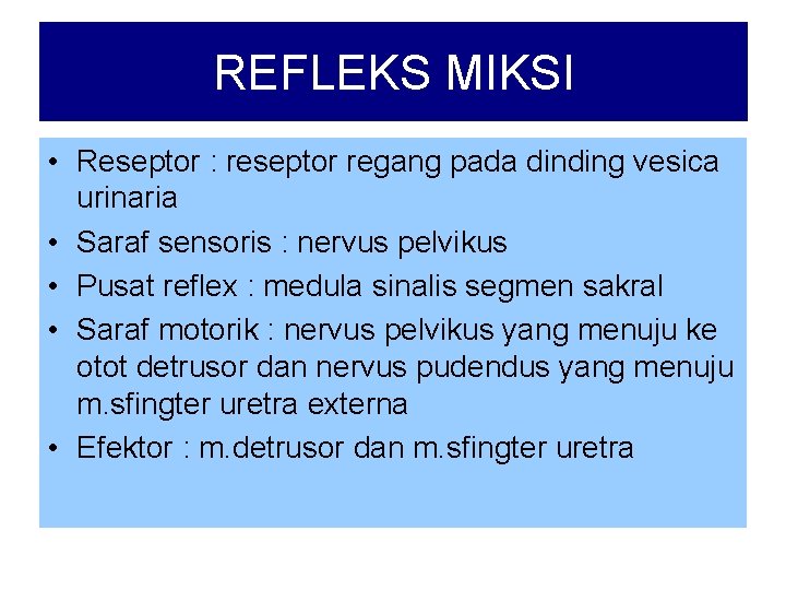 REFLEKS MIKSI • Reseptor : reseptor regang pada dinding vesica urinaria • Saraf sensoris