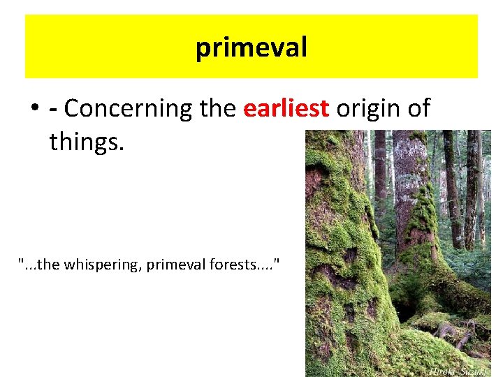 primeval • - Concerning the earliest origin of things. ". . . the whispering,