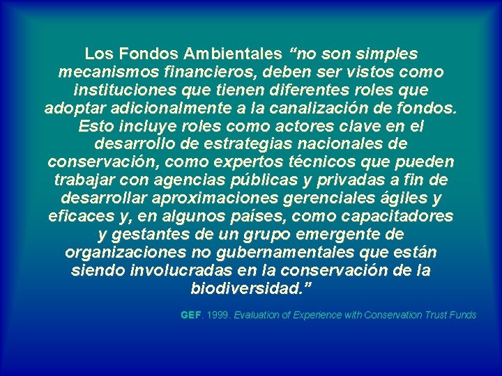 Los Fondos Ambientales “no son simples mecanismos financieros, deben ser vistos como instituciones que