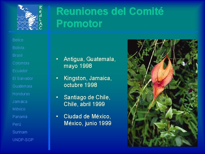 Reuniones del Comité Promotor Belice Bolivia Brasil Colombia Ecuador El Salvador Guatemala Honduras Jamaica