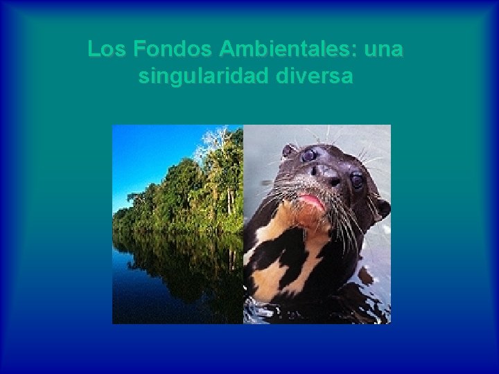 Los Fondos Ambientales: una singularidad diversa 