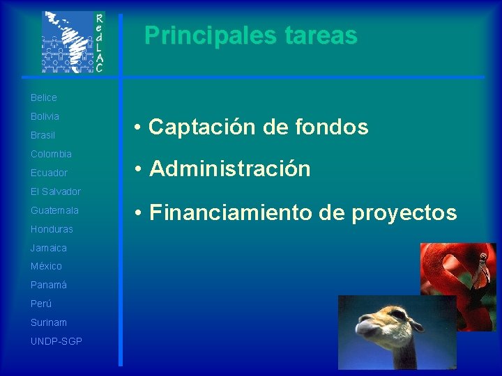 Principales tareas Belice Bolivia Brasil Colombia Ecuador • Captación de fondos • Administración El