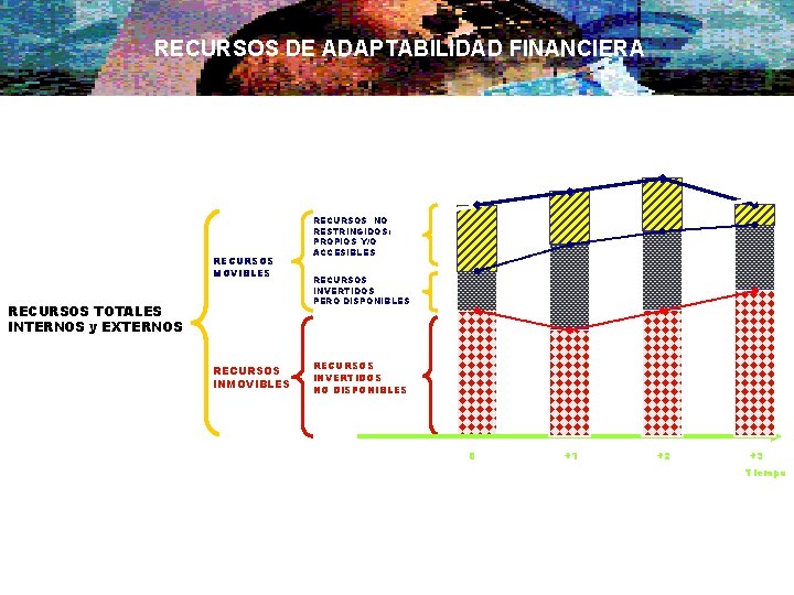 RECURSOS DE ADAPTABILIDAD FINANCIERA RECURSOS MOVIBLES RECURSOS TOTALES INTERNOS y EXTERNOS RECURSOS INMOVIBLES RECURSOS