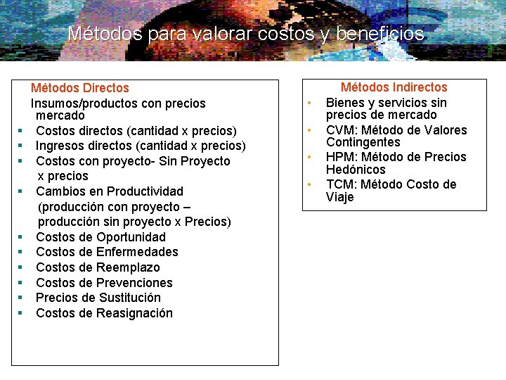 Métodos para valorar costos y beneficios § § § § § Métodos Directos Insumos/productos