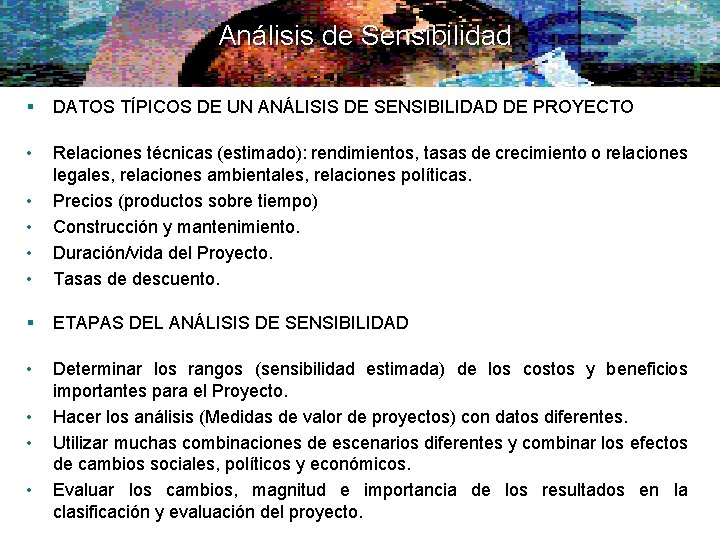 Análisis de Sensibilidad § DATOS TÍPICOS DE UN ANÁLISIS DE SENSIBILIDAD DE PROYECTO •