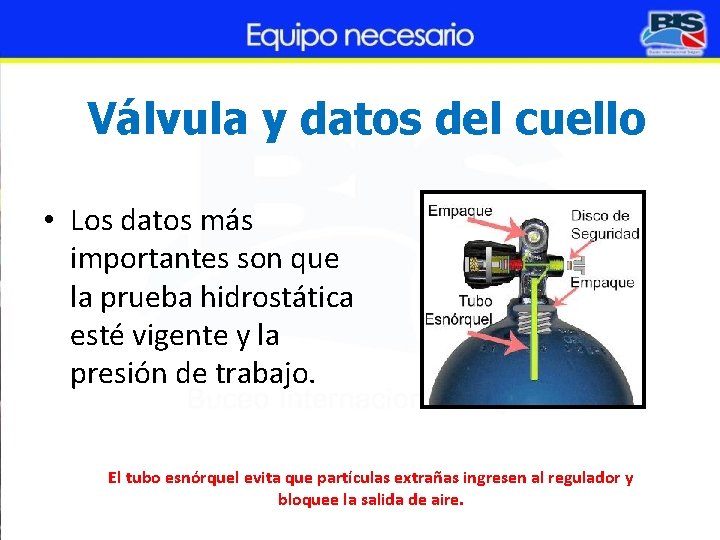 Válvula y datos del cuello • Los datos más importantes son que la prueba