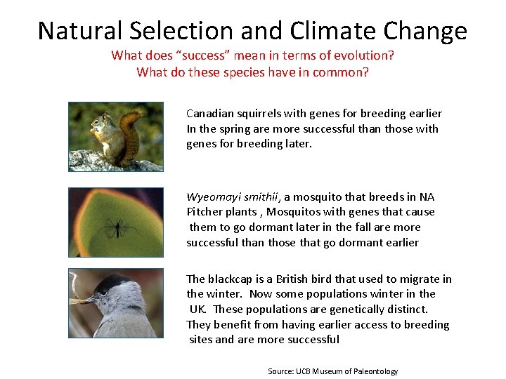 Natural Selection and Climate Change What does “success” mean in terms of evolution? What