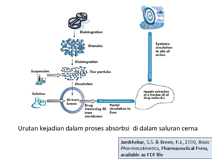 Urutan kejadian dalam proses absorbsi di dalam saluran cerna Jambhekar, S. S. & Breen,