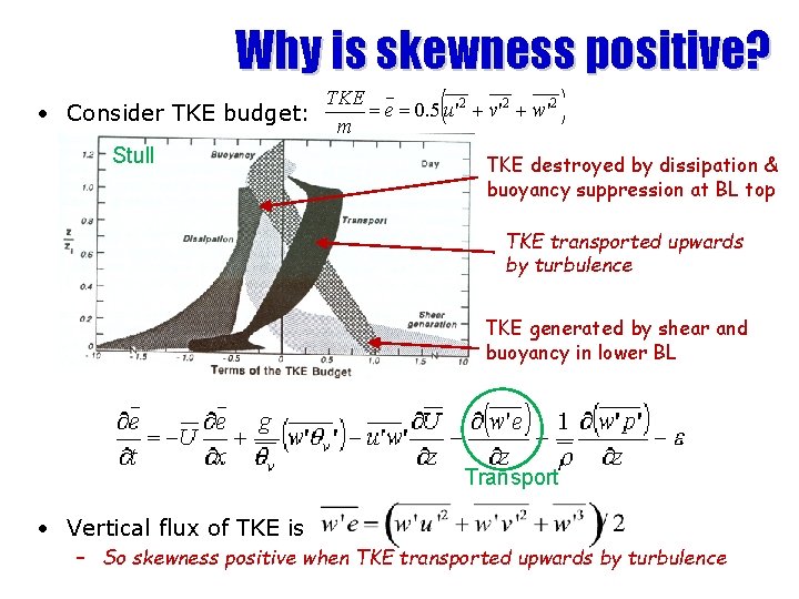 Why is skewness positive? • Consider TKE budget: Stull TKE destroyed by dissipation &