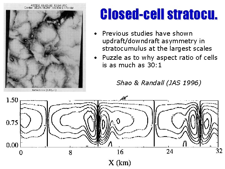 Closed-cell stratocu. • Previous studies have shown updraft/downdraft asymmetry in stratocumulus at the largest