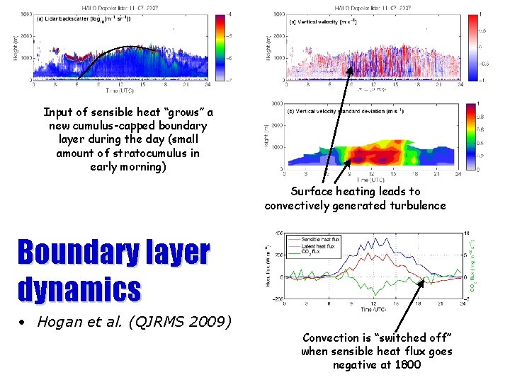 Input of sensible heat “grows” a new cumulus-capped boundary layer during the day (small