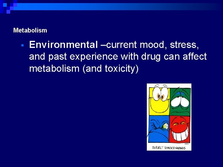 Metabolism Environmental –current mood, stress, and past experience with drug can affect metabolism (and