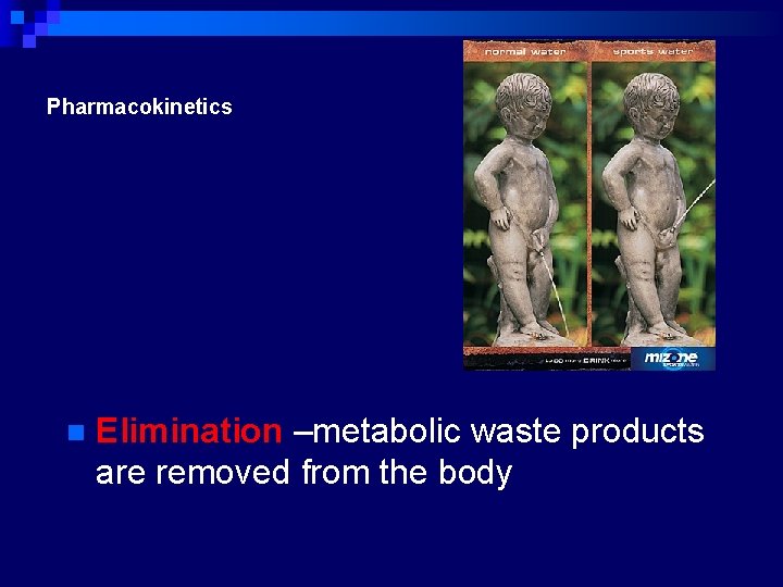 Pharmacokinetics n Elimination –metabolic waste products are removed from the body 